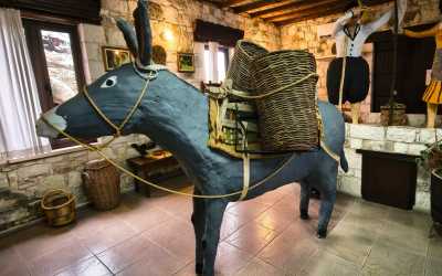 Wycieczka jednodniowa, Wycieczka Szlakiem Cypryjskich Winnic - Sterna Winiarnia