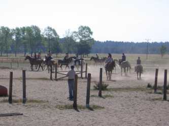 Obóz młodzieżowy, Niezapomniana Nadmorska Przygoda - OBÓZ KONNY (11-18 lat). Profesjonalne szkolenie dla początkujących, średnio zaawansowanych, zaawansowanych, obóz sportowo-szkoleniowy