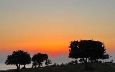 Optional trip, Wycieczka Marathon Jeep Safari - Narodowy Park Akamas z Protaras