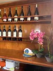 !tr_error=en->rejs!, Wycieczka Dream of Turtles ST Georgios II rejs poranny z Protaras - marzenie zobaczyć żółwie dla rodzin