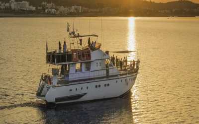 !tr_error=en->rejs!, Wycieczka Dream of Turtles ST Georgios II rejs poranny z Protaras - marzenie zobaczyć żółwie dla rodzin