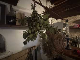 Optional trip, Wycieczka Wezmę Cię na najlepsze meze w Pafos