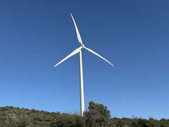 Optional trip, Wycieczka Pafos by night