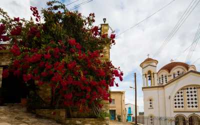 One day trip, Wycieczka: Ja, tato i mama z Pafos do farmy osiołków