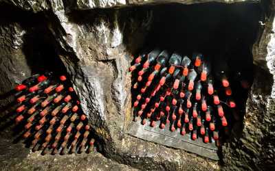 One day trip, Wycieczka Szlakiem Cypryjskich Winnic - Sterna Winiarnia