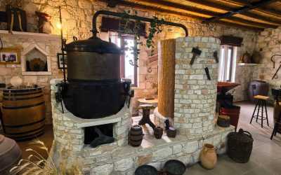 One day trip, Wycieczka Szlakiem Cypryjskich Winnic - Sterna Winiarnia