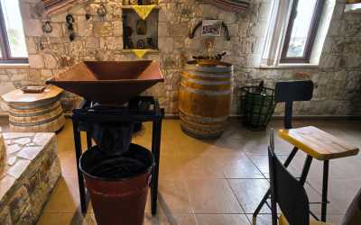 One day trip, Wycieczka Szlakiem Cypryjskich Winnic - Sterna Winiarnia