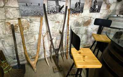 One day trip, Wycieczka Szlakiem Cypryjskich Winnic - Sterna Winiarnia