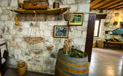 One day trip, Wycieczka Szlakiem Cypryjskich Winnic - Sterna Winiarnia