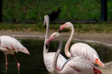 Optional trip, Wycieczka z Larnaki Marathon do Ayia Napa, Lefkary i więcej