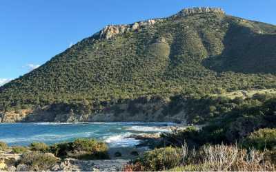 Optional trip, Maraton Jeep Safari Najważniejsze atrakcje Pafos z Pafos