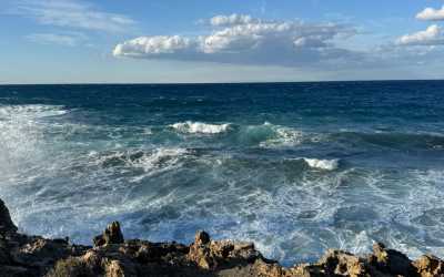 Optional trip, Z Pafos do wąwozu Avakas Kanyon [33]
