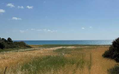 Optional trip, Wycieczka na plażę Skała Afrodyty [35] z Pafos