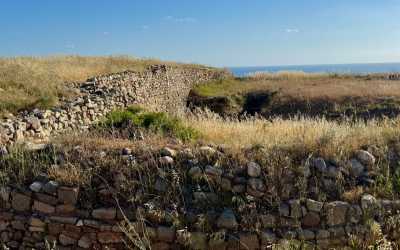 Optional trip, Wycieczka na plażę Skała Afrodyty z karmieniem osiołków z Pafos