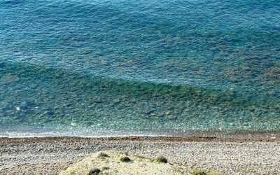 Optional trip, Wycieczka na plażę Skała Afrodyty z karmieniem osiołków z Pafos