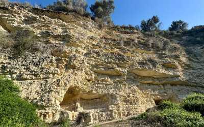 Optional trip, Wycieczka na plażę Skała Afrodyty z karmieniem osiołków z Pafos