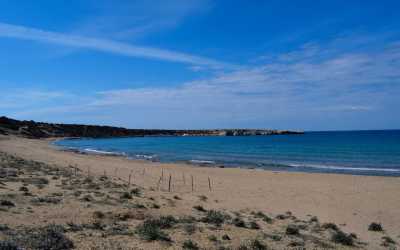 Optional trip, Wycieczka na plażę Lara Beach [27] z Pafos