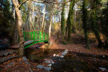 Optional trip, Wycieczka: Troodos, klasztor Kykkos [29] z Pafos Marathon