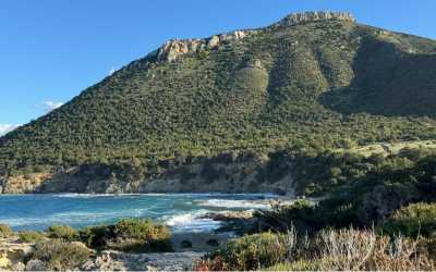 Optional trip, Wycieczka Marathon Jeep Safari - Narodowy Park Akamas z Cypru Północnego